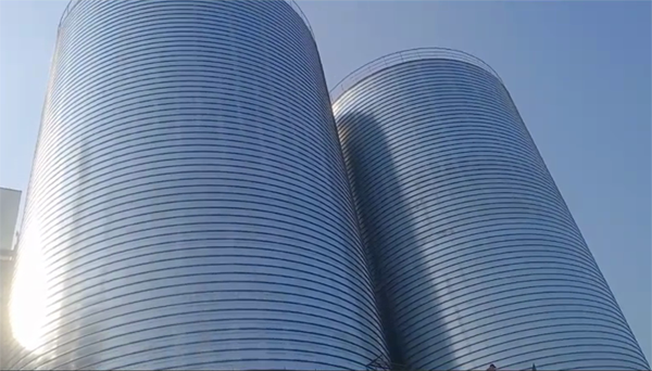 弋阳2座混凝土高架卷板仓